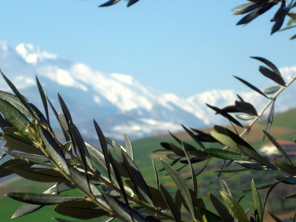 Agriturismo Cignale Penne Exterior photo