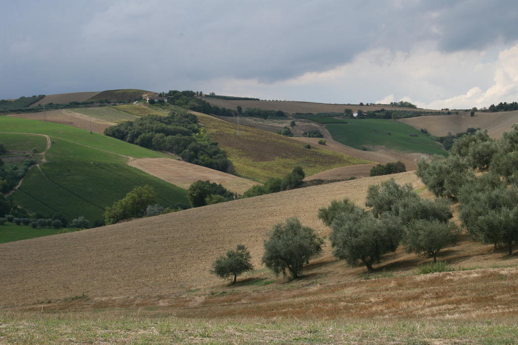 Agriturismo Cignale Penne Exterior photo