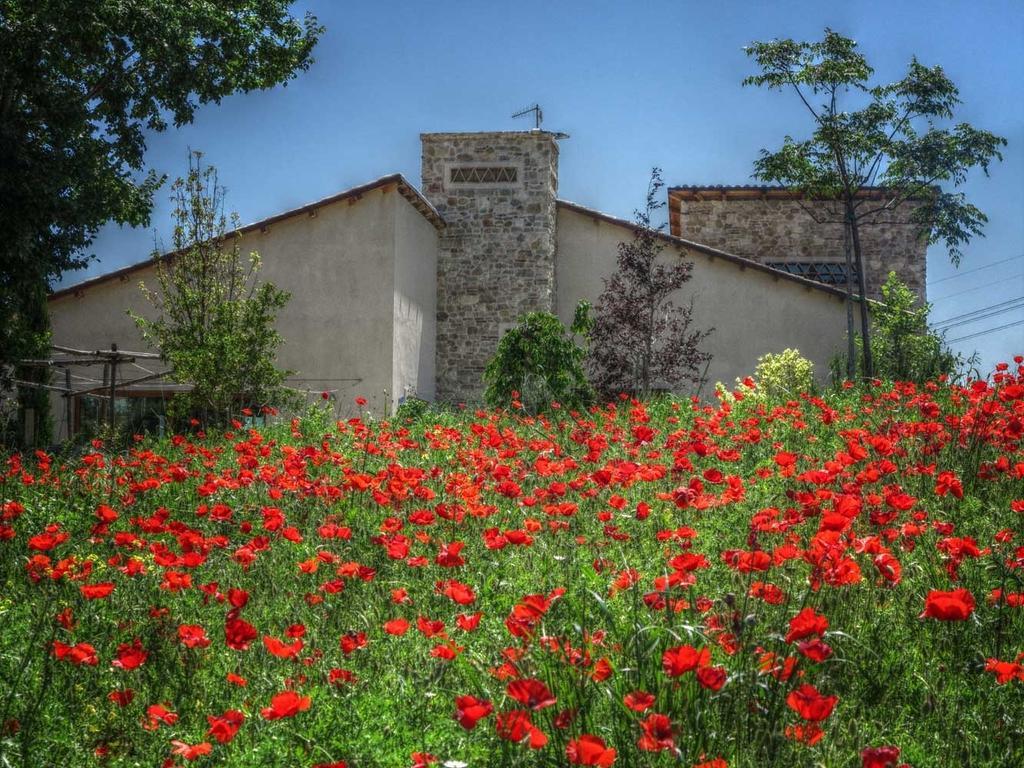 Agriturismo Cignale Penne Exterior photo
